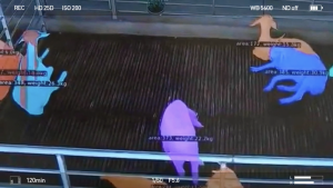 AI智慧与畜牧业羊群智慧档案合作系统-上海嫩叶网络科技有限公司